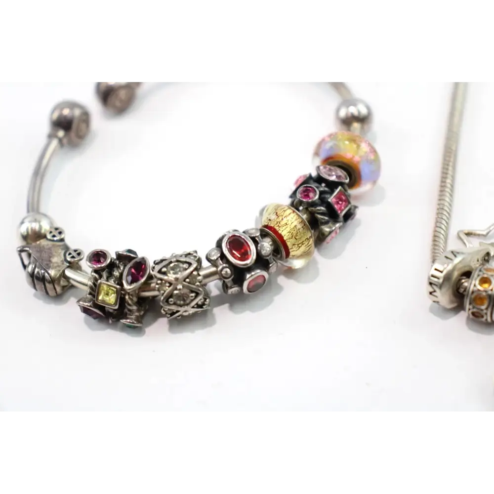 Pandora-style charm bracelet