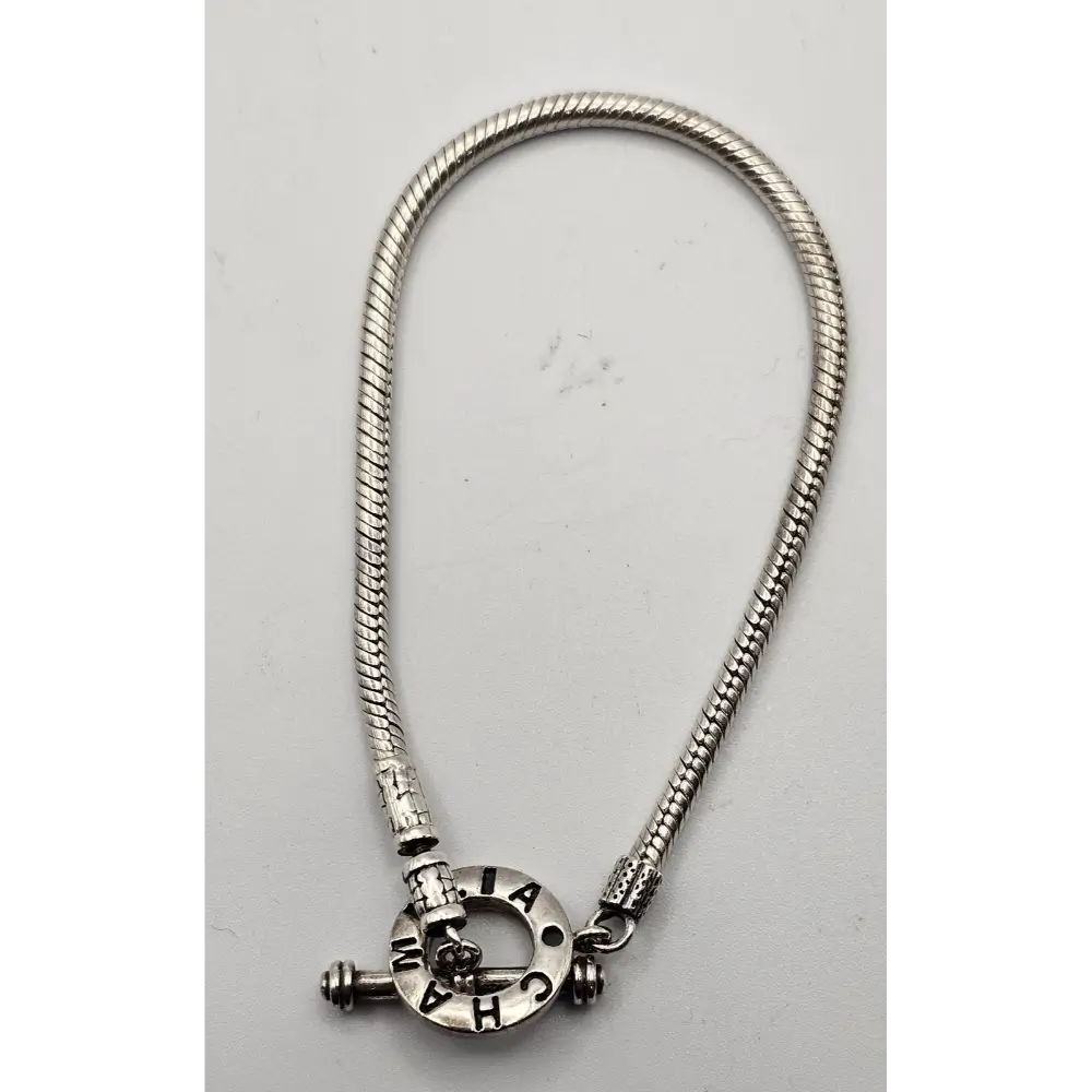 Silver snake chain necklace with a clasp
