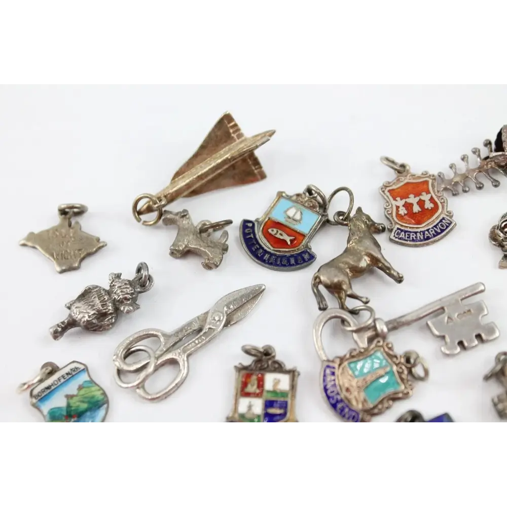 Collection of various silver and enamel charms on a white background