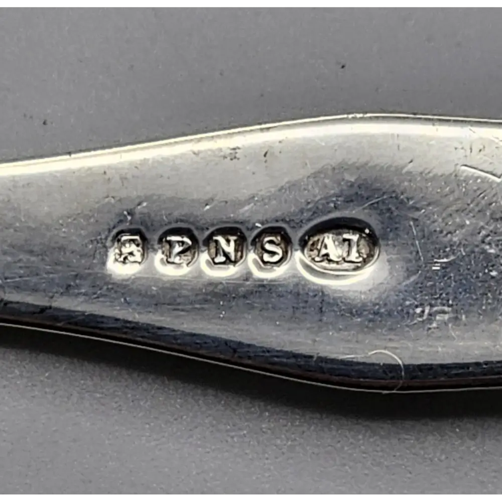 Close-up of a silver spoon with 'S P N S A I' stamp on a gray background