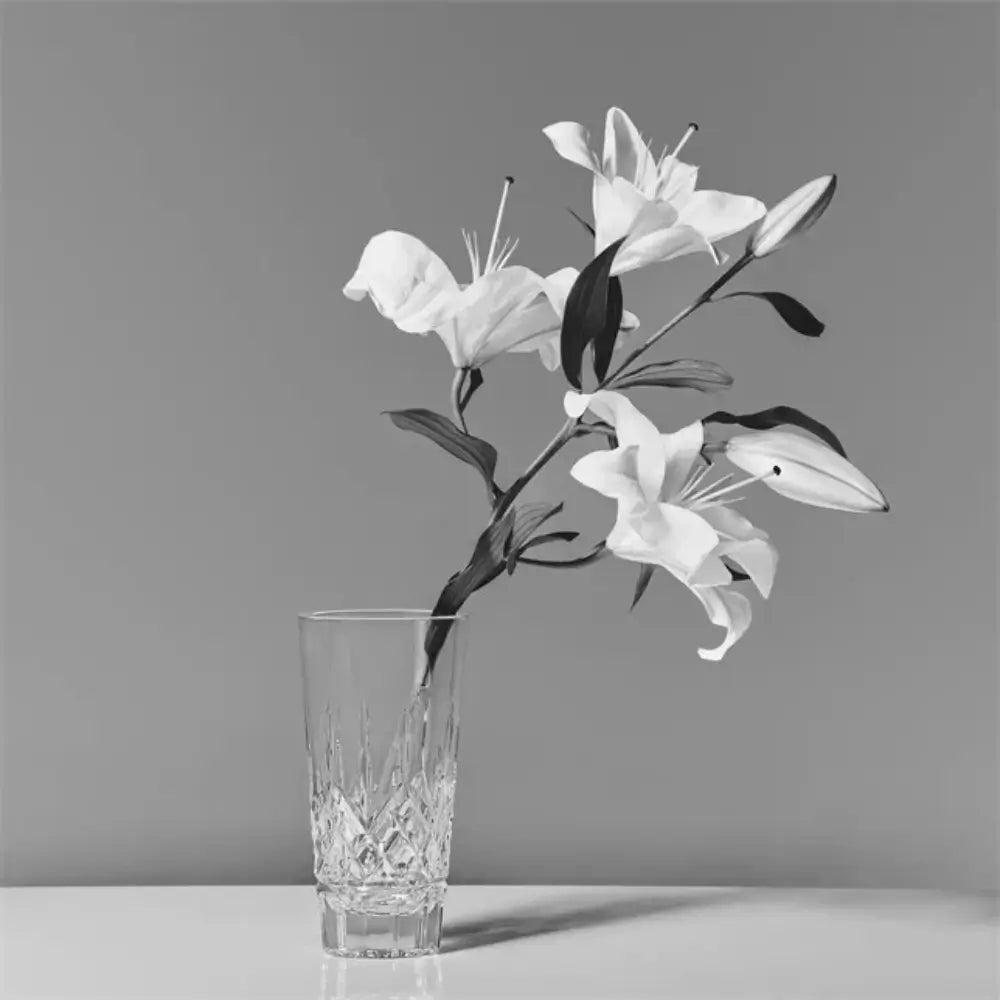 Clear glass vase with white flowers on a gray background