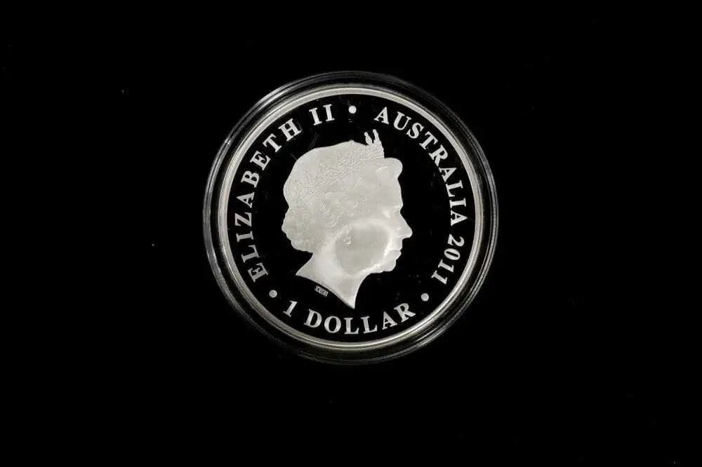 A circular silver coin featuring the profile of Queen Elizabeth II, with the text 'ELIZABETH II • AUSTRALIA • 2011 • 1 DOLLAR' around the edge, shown on a solid black background.