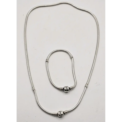 Silver necklace with a clasp on a white background