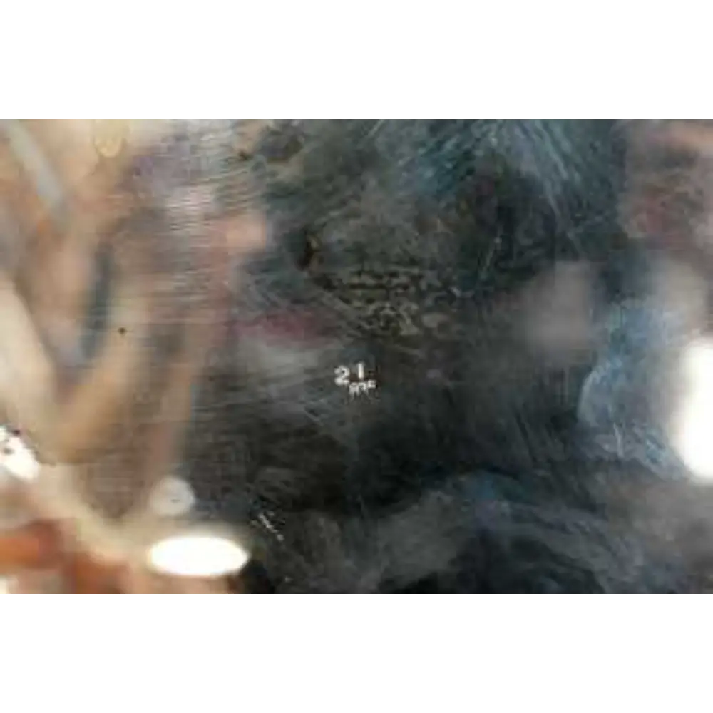 Close-up of a textured surface with a number '21' visible