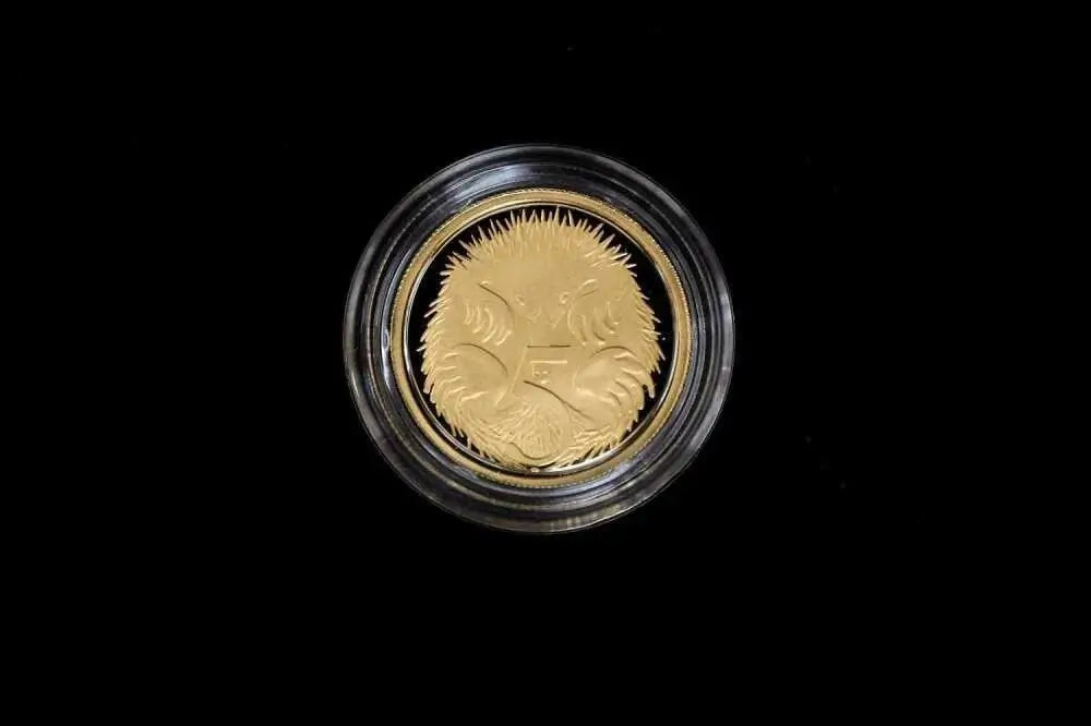 A round gold coin featuring a detailed lion head design, encased in a clear protective plastic holder, set against a solid black background.