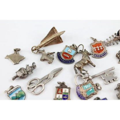 Collection of various silver and enamel charms on a white background