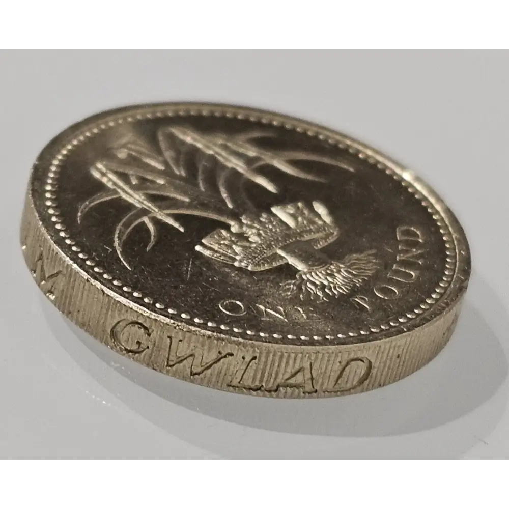 British one pound coin with thistle design 