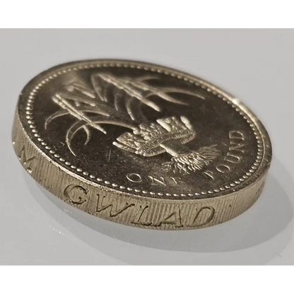 British one pound coin with thistle design 