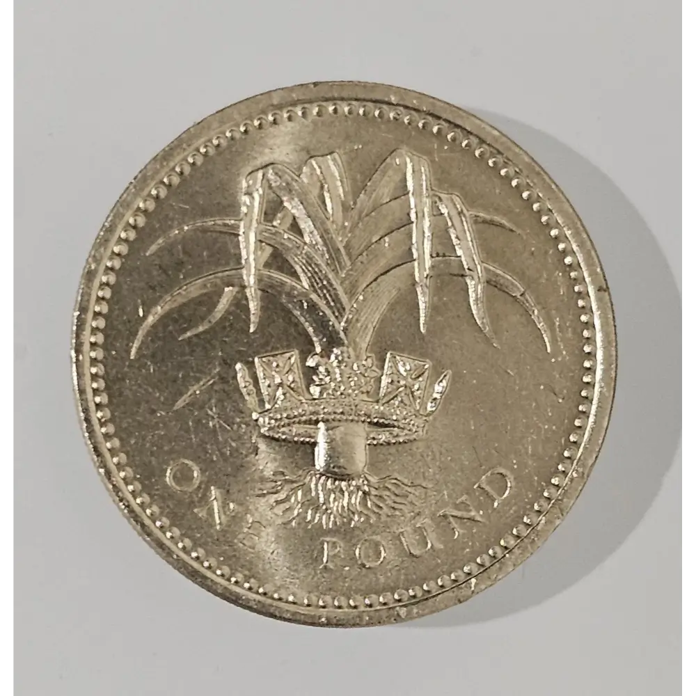 Silver coin with a crown and 'One Pound' text