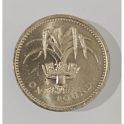 Silver coin with a crown and 'One Pound' text