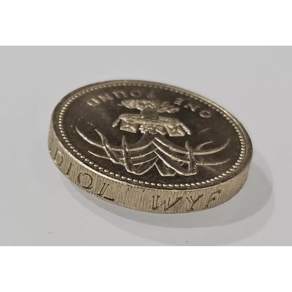 British coin with a lion emblem on a white background