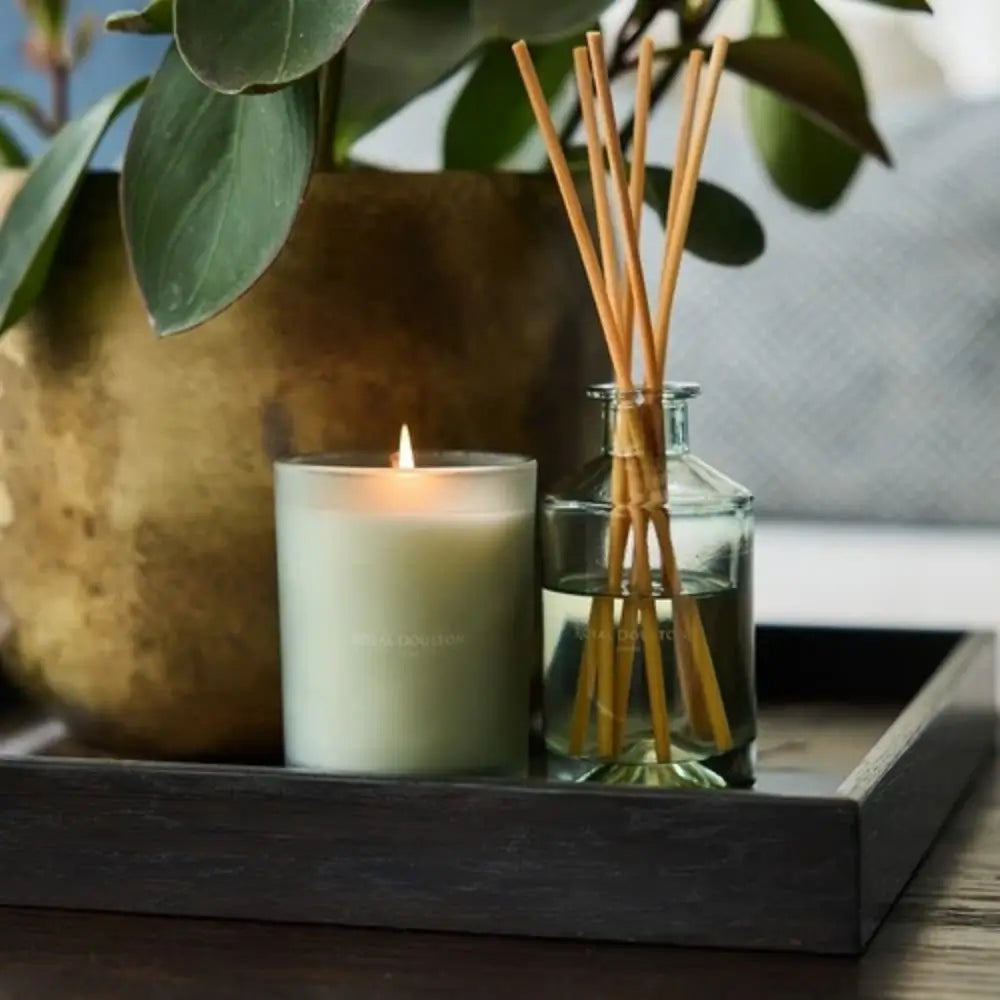 Candle and diffuser on a tray with a plant in the background