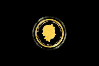 A 2018 Australian 10 oz gold coin in a circular protective capsule, displayed against a solid black background.