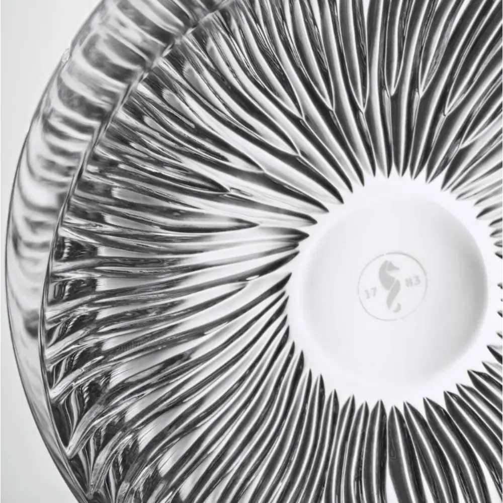 close-up Waterford MasterCraft Ocean Anemone Paperweight 