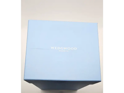 Light blue Wedgwood box on a beige background