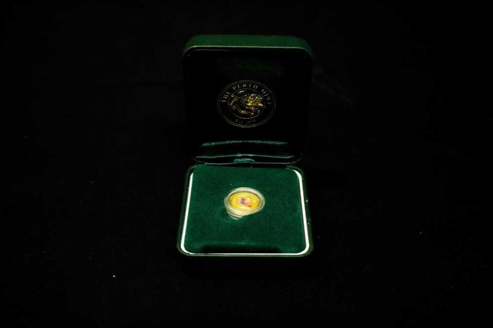 Presentation case and outer box for Year of the Rooster 1/20 oz gold coin