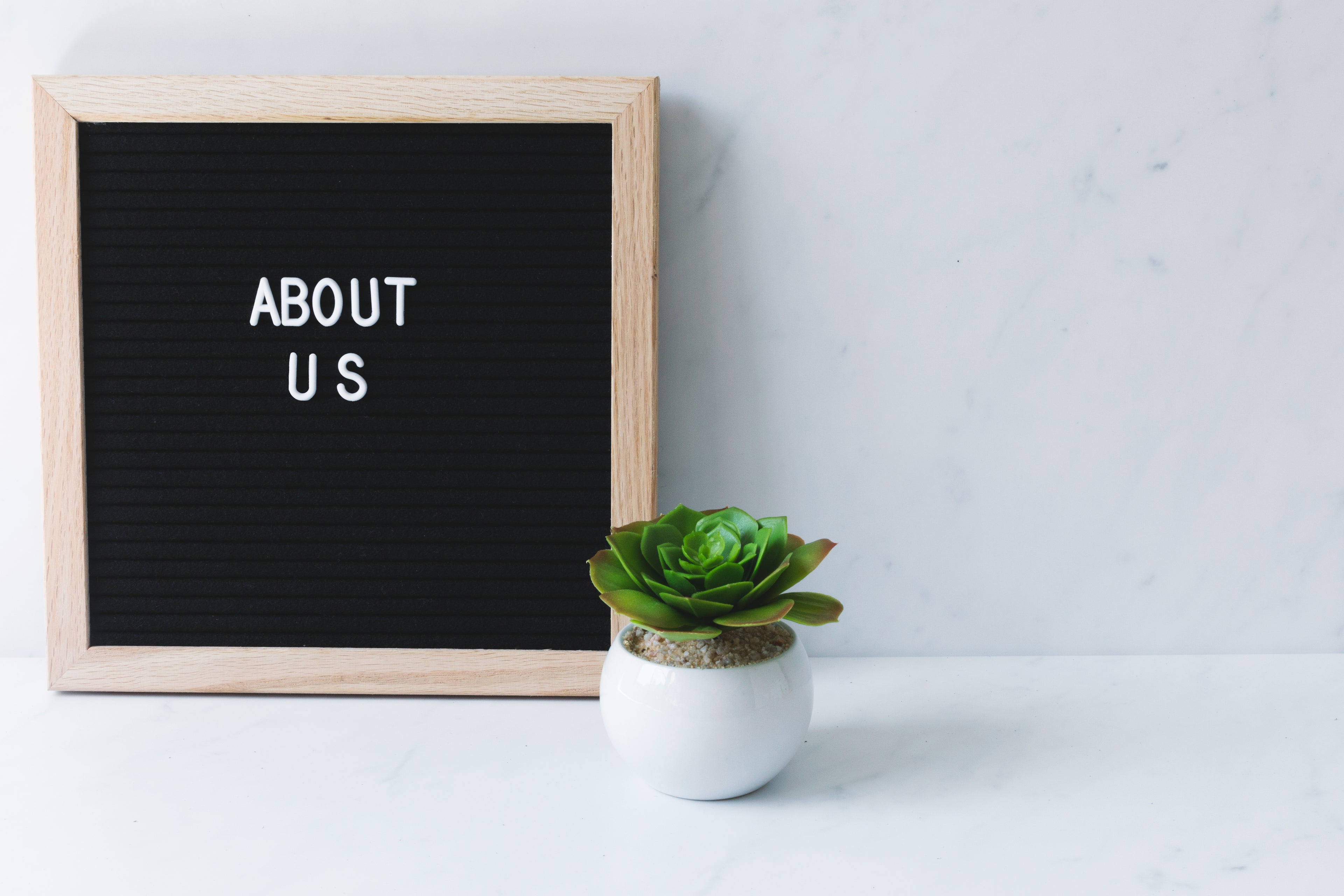 about us koalaehub